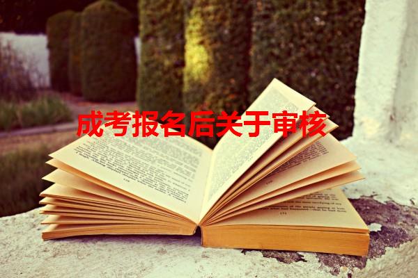成考报名后关于审核