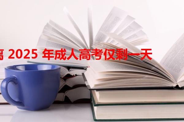 距离 2025 年成人高考仅剩一天