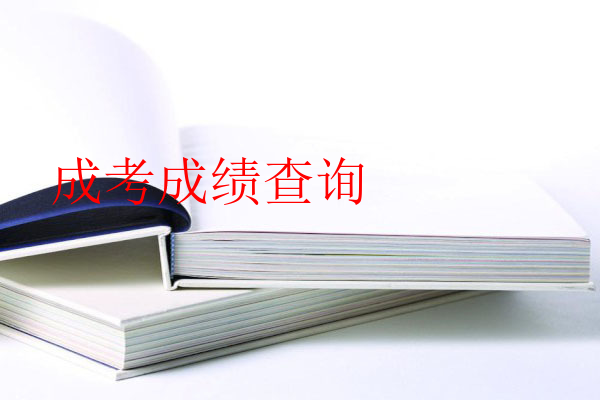 成考成绩查询