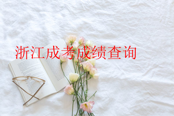 浙江成考成绩查询